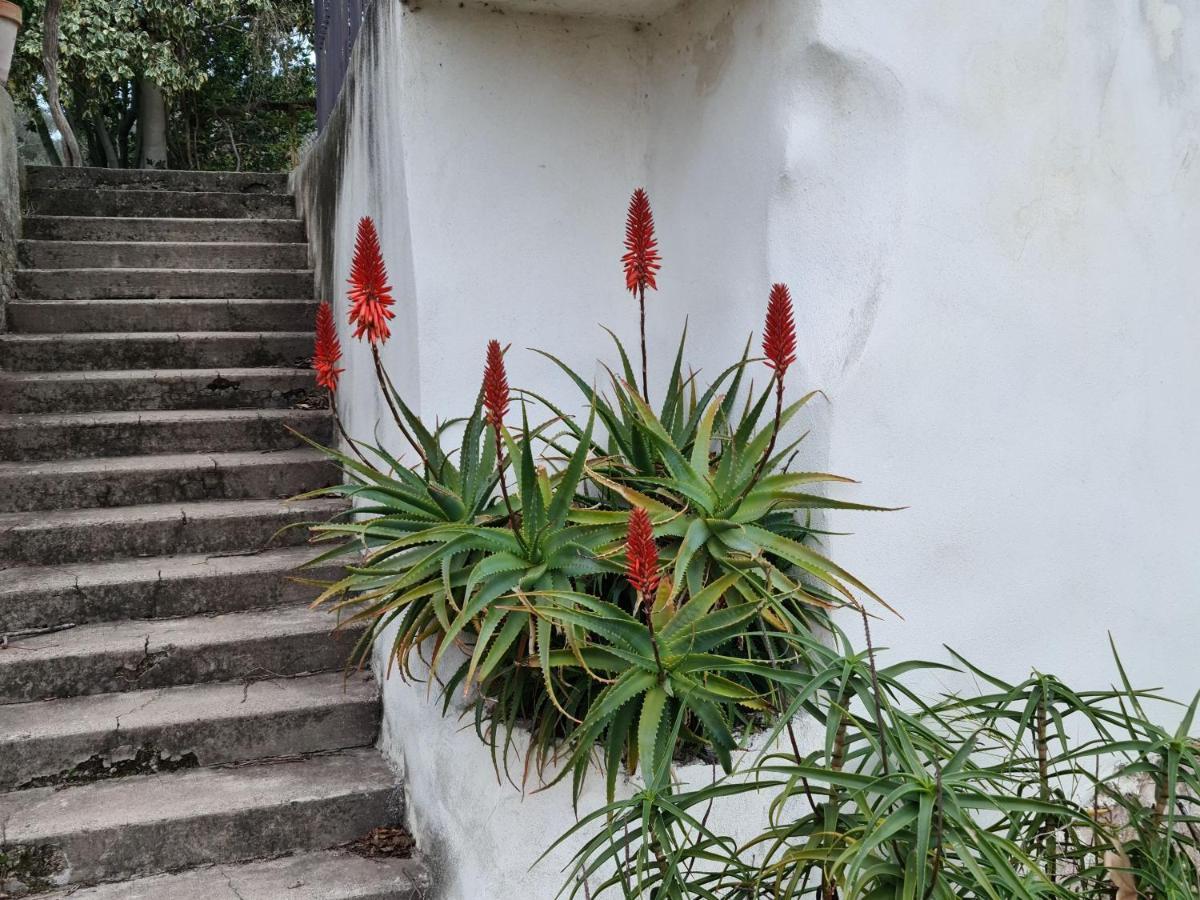 Gite Zen Carnoules  Bagian luar foto